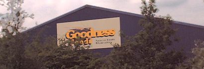 Goodness Foods