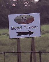 Good Timber