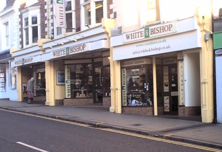 White and Bishop